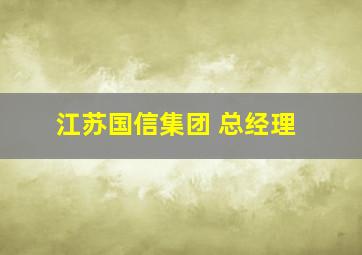 江苏国信集团 总经理